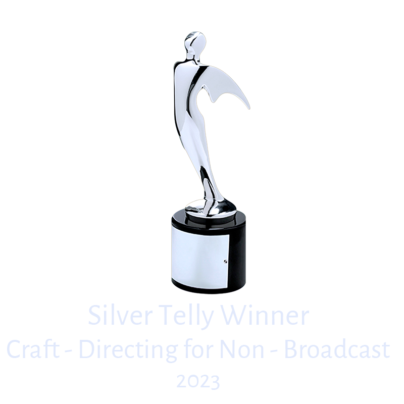 The Telly Awards